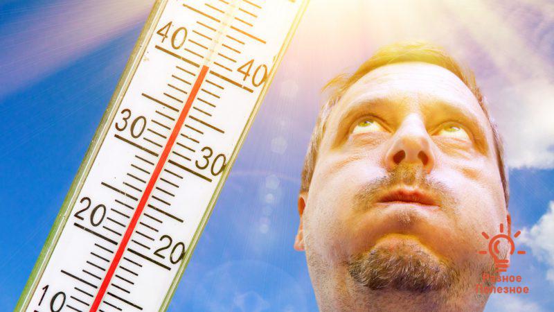 5 советов для тех, кто плохо переносит жару