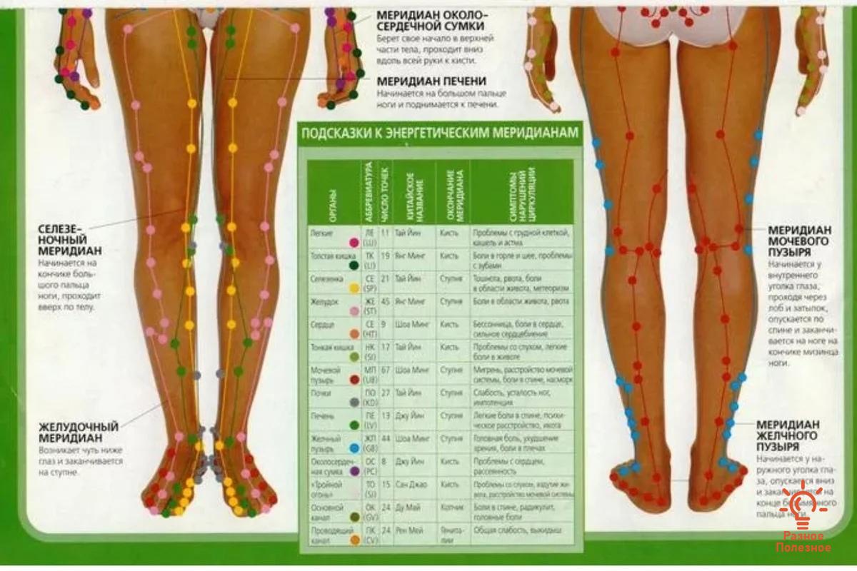 Энергетические меридианы тела человека подробная карта и описание