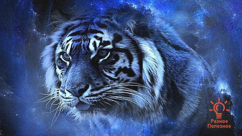 Символ 2022 года — Голубой Водяной Тигр