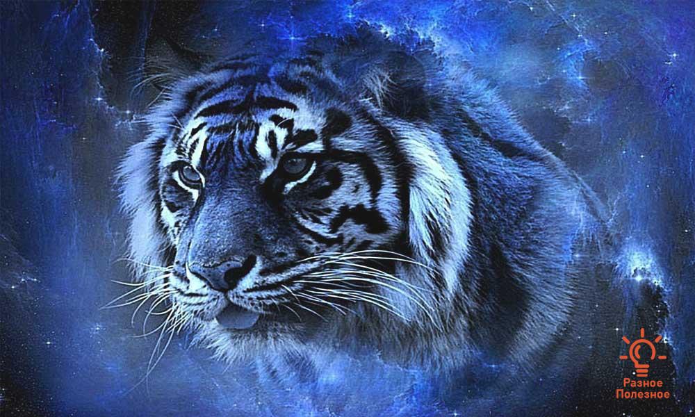 Символ 2022 года — Голубой Водяной Тигр